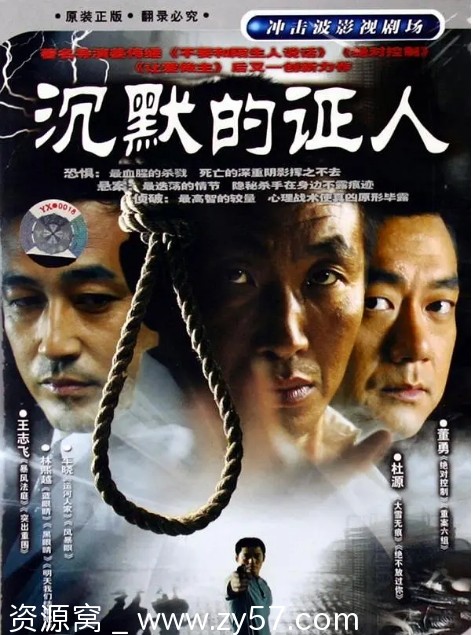 沉默的证人海报