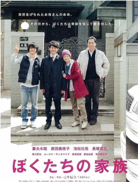 我们的家族电影海报