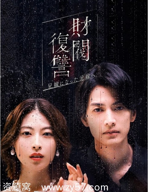 财阀复仇：致成为嫂子的前妻海报