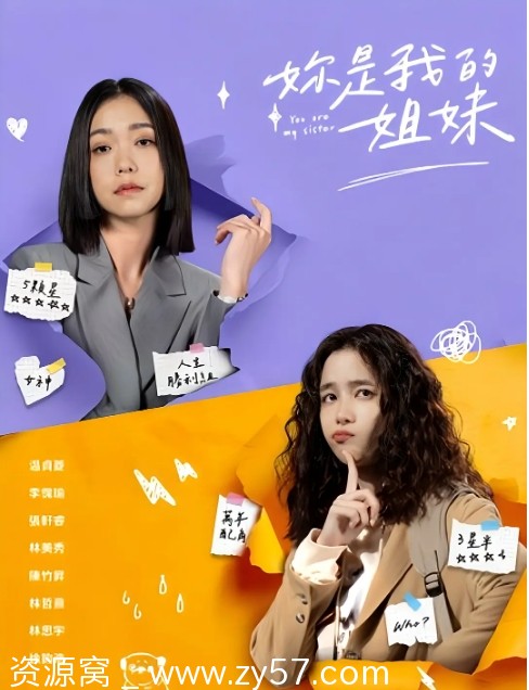 台剧妳是我的姐妹2024剧情解说 豆瓣评分5.6 - 零零盘