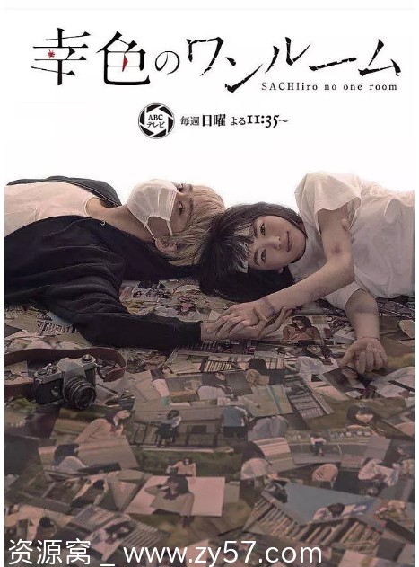 幸色的一居室海报