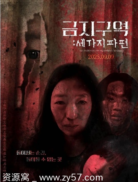 禁区：三个碎片 电影海报