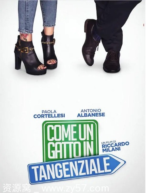 意大利喜剧电影《高速路上一只猫》2017豆瓣评分7.2高清资源分享 - 零零盘