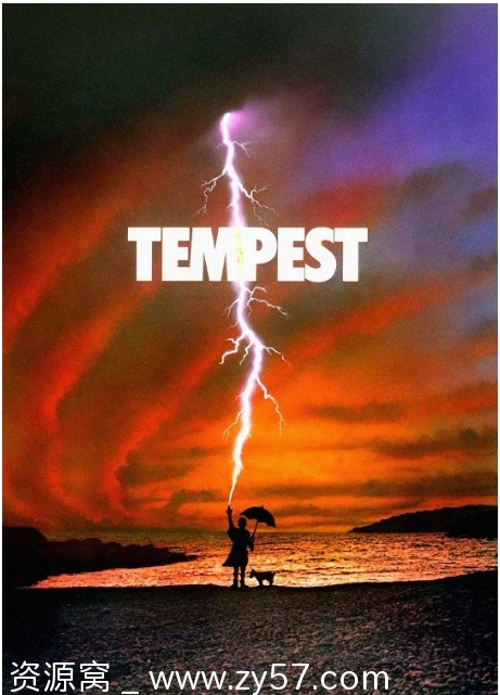 暴风雨电影海报