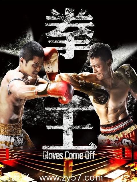 港剧推荐《拳王》（2012）动作片豆瓣评分7.2 - 零零盘