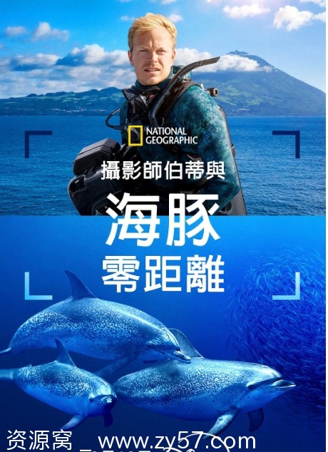 美国纪录片《摄影师贝尔蒂与海豚零距离》2025年高清版免费分享 - 零零盘