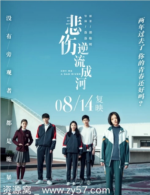 悲伤逆流成河电影海报