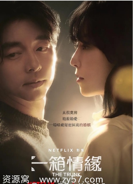 一箱情缘海报