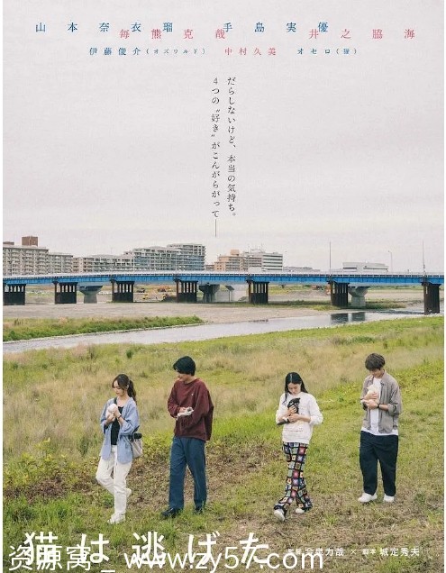 日本电影《猫猫逃走了》（2022）剧情简介 豆瓣评分6.8 - 零零盘