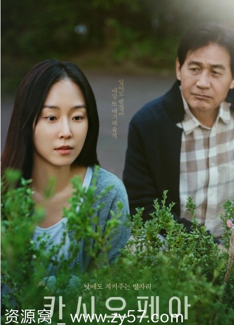 电影《仙后座》海报