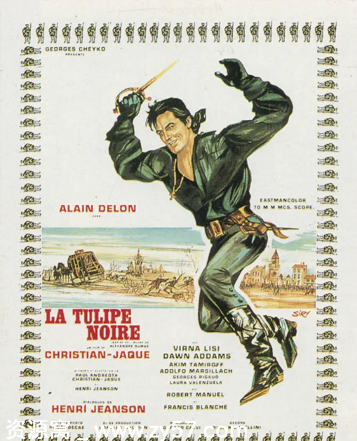 黑郁金香电影海报