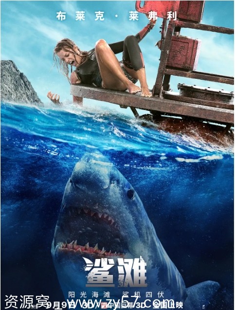 鲨滩电影海报