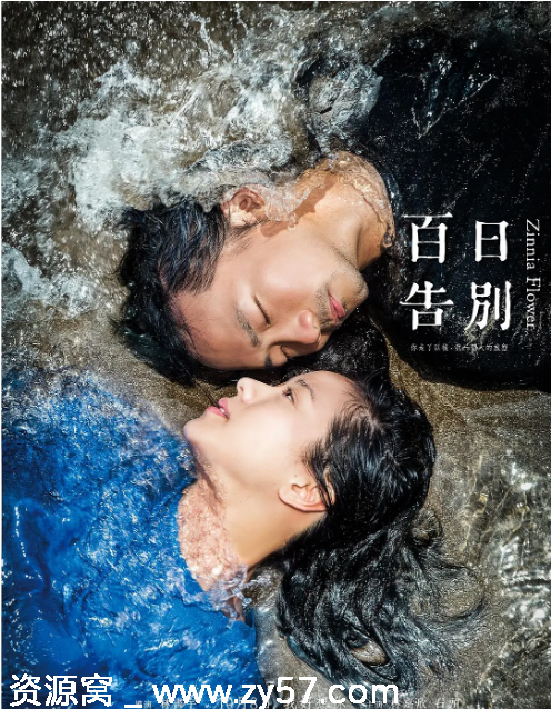 台湾电影《百日告别》2015剧情解析 豆瓣评分7.1 - 零零盘