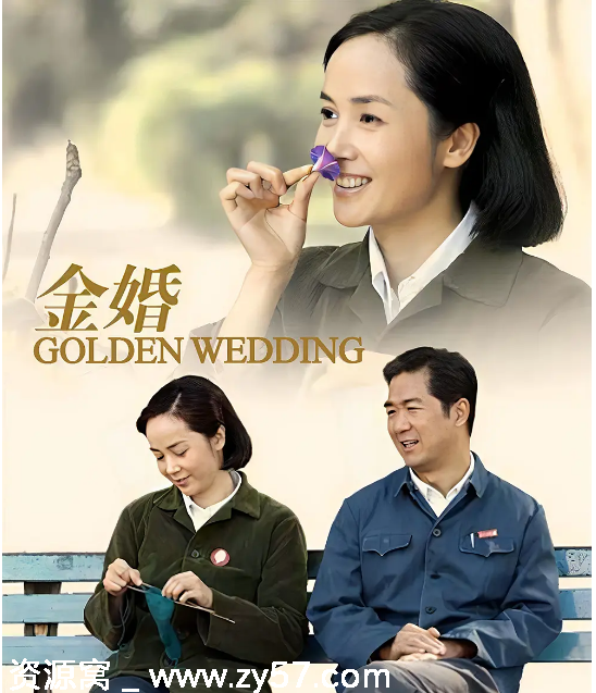 国剧推荐《金婚》2007年剧情解析 家庭题材豆瓣评分8.5 - 零零盘