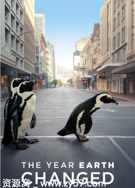 英国纪录片《地球改变之年》（2021）豆瓣9.2高清完整版在线观看 - 零零盘