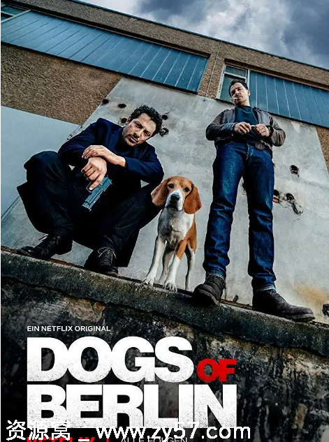 柏林之狗海报