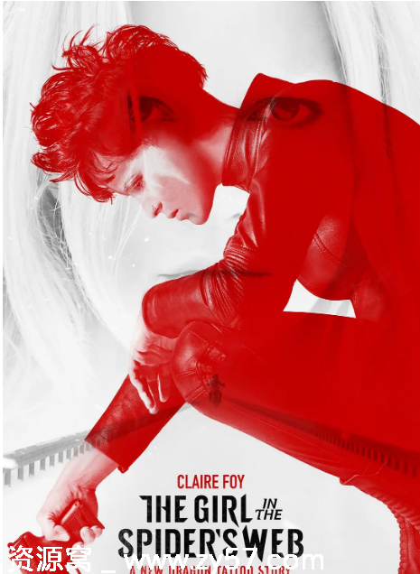德国惊悚犯罪电影《蜘蛛网中的女孩》2018剧情解析 豆瓣评分6.2 - 零零盘