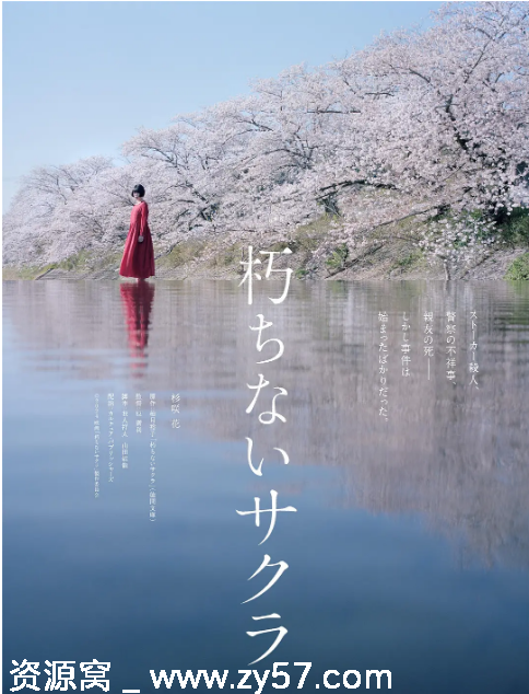 电影《不朽的樱花》海报