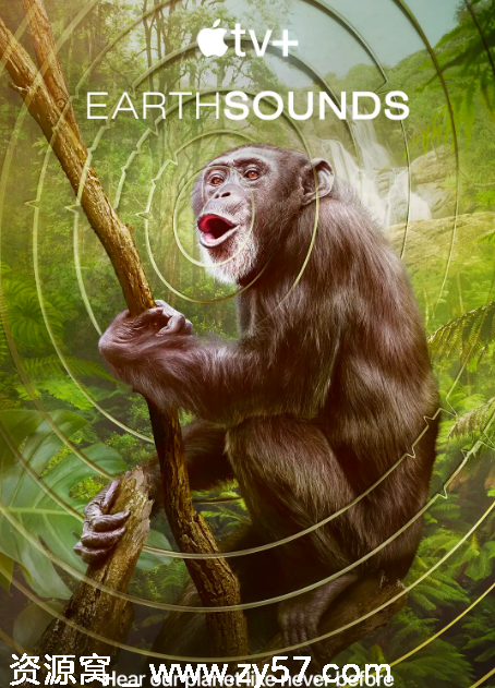 美国纪录片《地球之声》（2024）高清完整版在线观看 - 零零盘