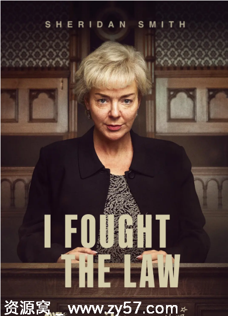 英剧推荐我与法律抗争2025全集剧情解析 - 零零盘