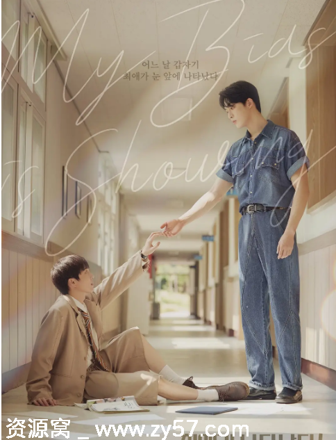 我的偶像倒追我海报