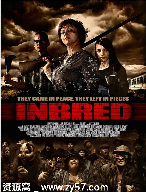 完全杀人剧场海报