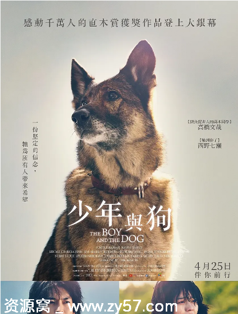 少年与犬电影海报