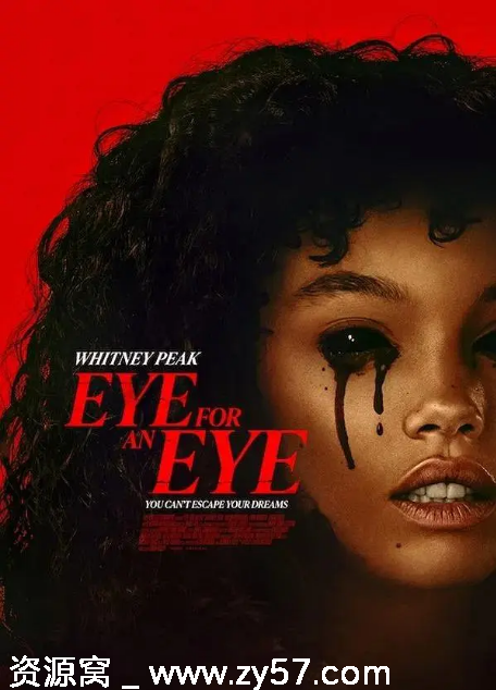电影《以眼还眼》海报