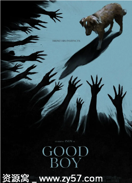 好狗狗电影海报