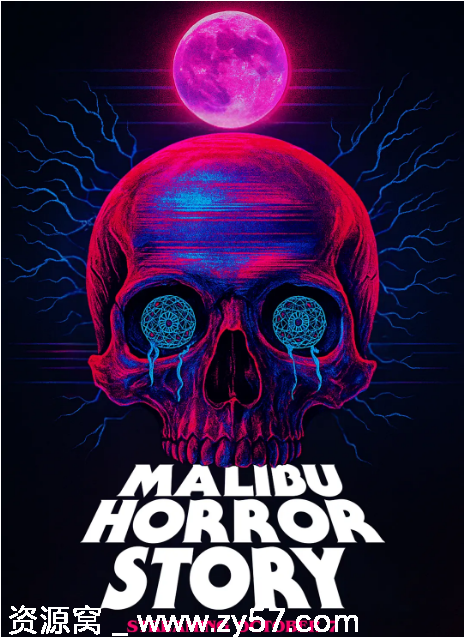 马里布录像带海报