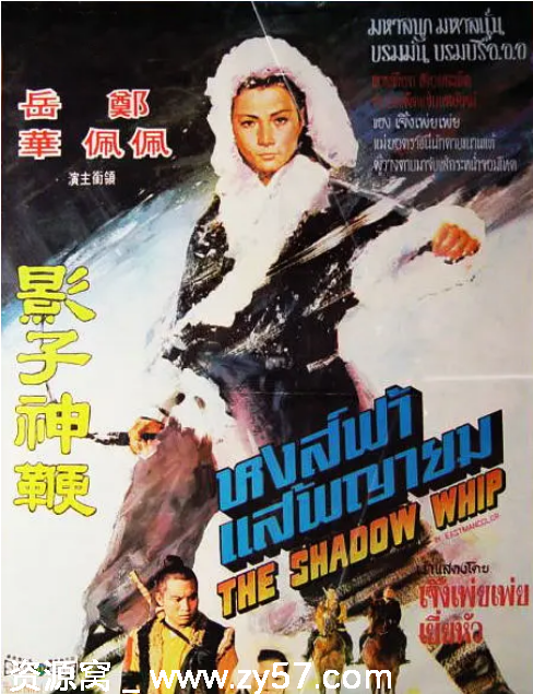 香港电影《影子神鞭》（1971）动作武侠古装豆瓣6.1高清在线观看 - 零零盘