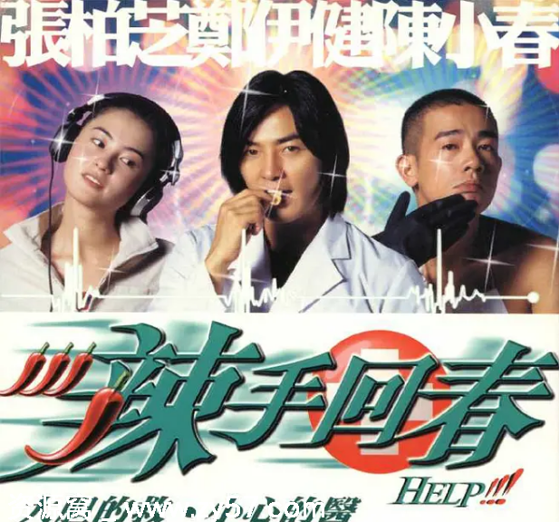 辣手回春电影海报