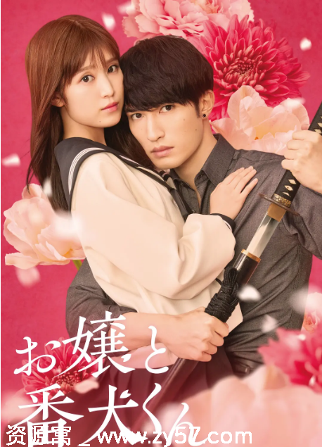 大小姐和看门犬海报