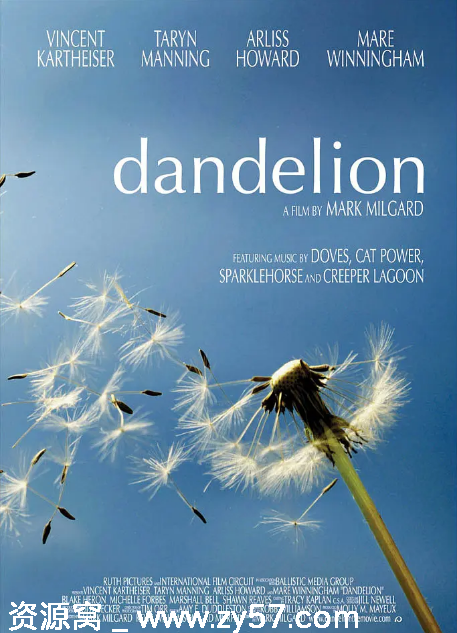 美国电影《蒲公英》（2004）剧情解析 爱情主题 豆瓣评分7.7 - 零零盘