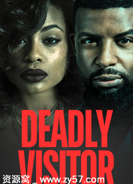 致命访客海报