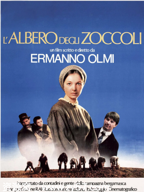 电影《木屐树》海报