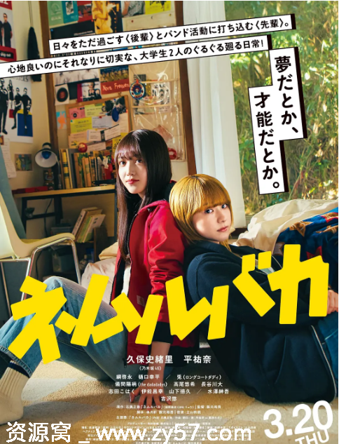 《睡觉的笨蛋》电影海报