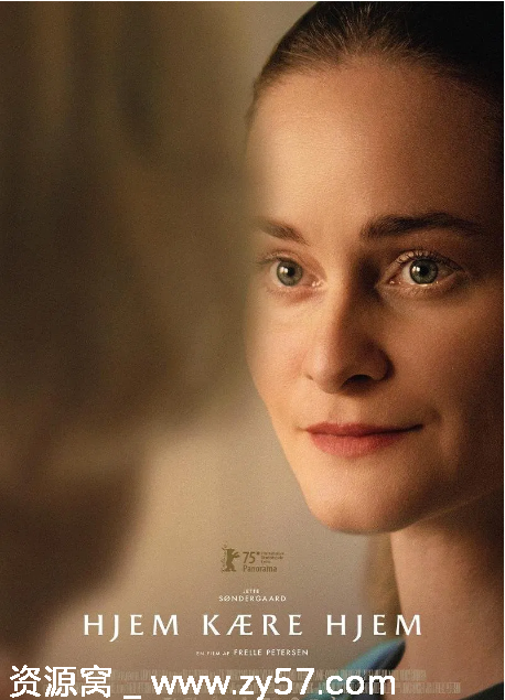 丹麦电影《家，亲爱的家》（2025）剧情解析 - 零零盘