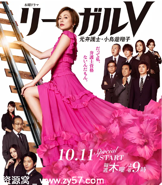 日剧推荐Legal V～前律师·小鸟游翔子（2018）剧情介绍 豆瓣评分6.9 - 零零盘