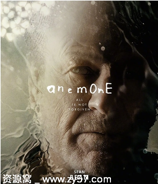 美国电影《银莲花》2025剧情解析分享 - 零零盘