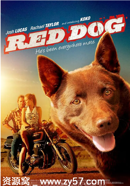澳大利亚电影《红犬历险记》2011剧情喜剧豆瓣8.3评分 - 零零盘