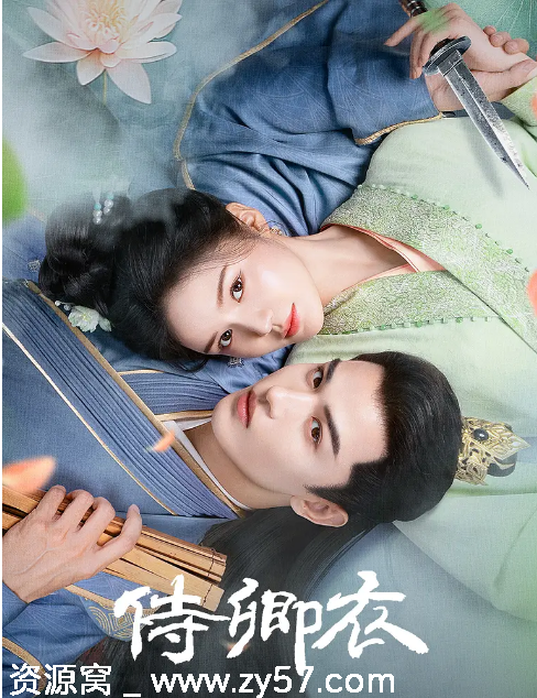 国剧推荐短剧《侍卿衣》（2025）浪漫古装剧精彩来袭 - 零零盘