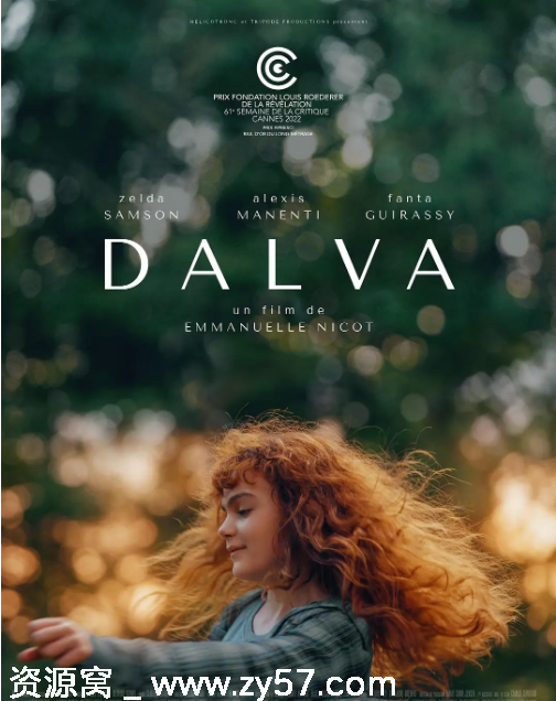 电影《达尔瓦》海报