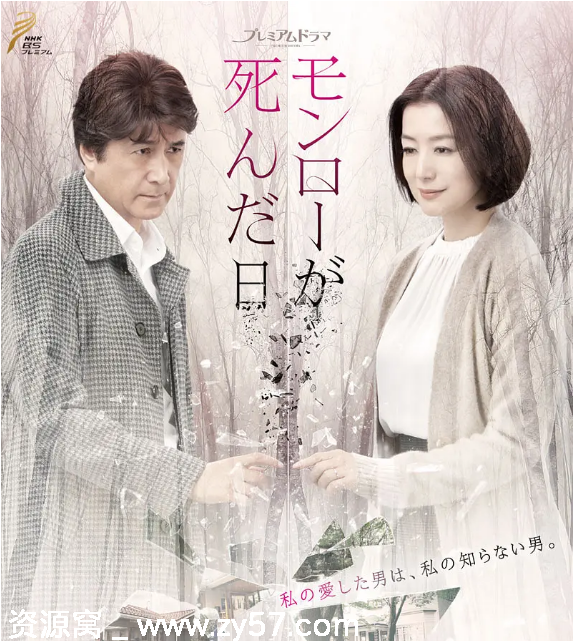 梦露死亡之日海报