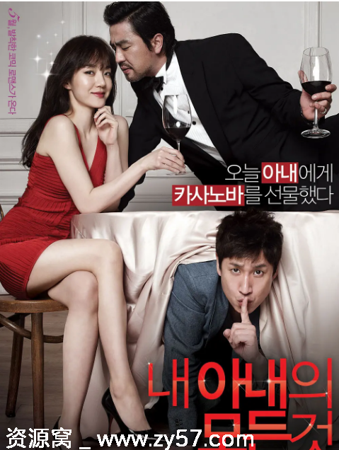 我妻子的一切电影海报