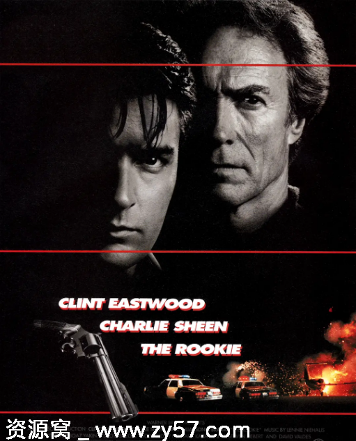 菜鸟霹雳胆电影海报