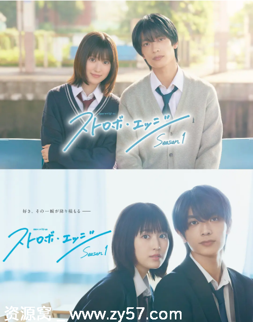 闪烁的爱情 第一季 海报