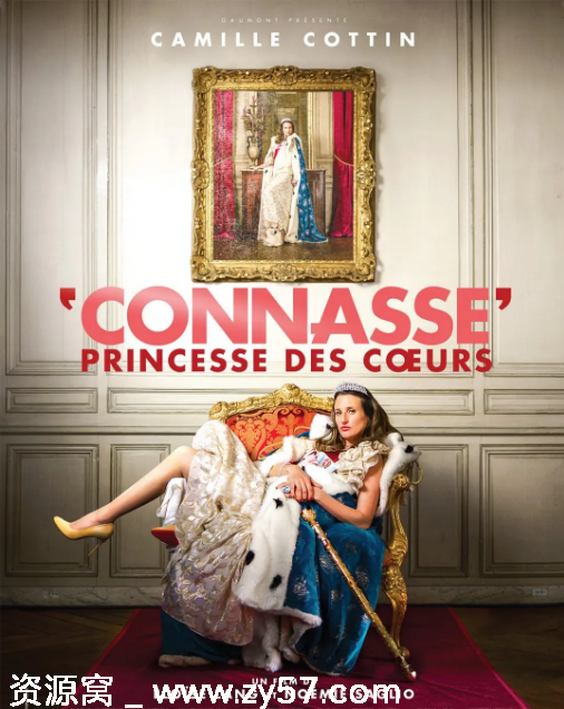 法国电影《憨憨公主的心思》2015喜剧版 豆瓣评分7.7分分享 - 零零盘