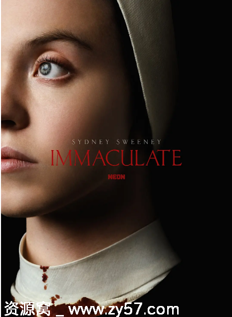 无瑕修女电影海报