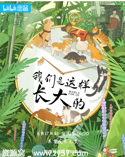 国内纪录片《我们是这样长大的》（2022）豆瓣7.6分 正版高清资源分享 - 零零盘